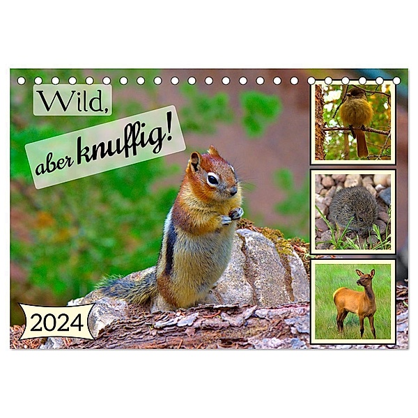 Wild, aber knuffig! (Tischkalender 2024 DIN A5 quer), CALVENDO Monatskalender, Lost Plastron Pictures