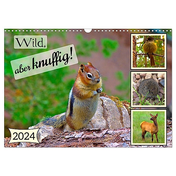Wild, aber knuffig! (Wandkalender 2024 DIN A3 quer), CALVENDO Monatskalender, Lost Plastron Pictures