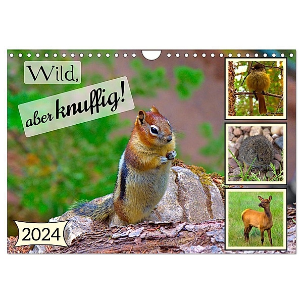 Wild, aber knuffig! (Wandkalender 2024 DIN A4 quer), CALVENDO Monatskalender, Lost Plastron Pictures