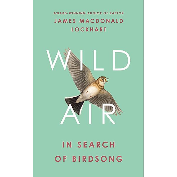 Wild Air, James Macdonald Lockhart
