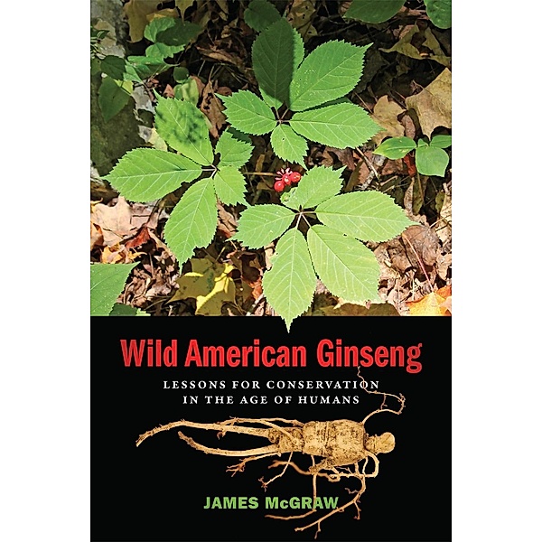 Wild American Ginseng, James McGraw