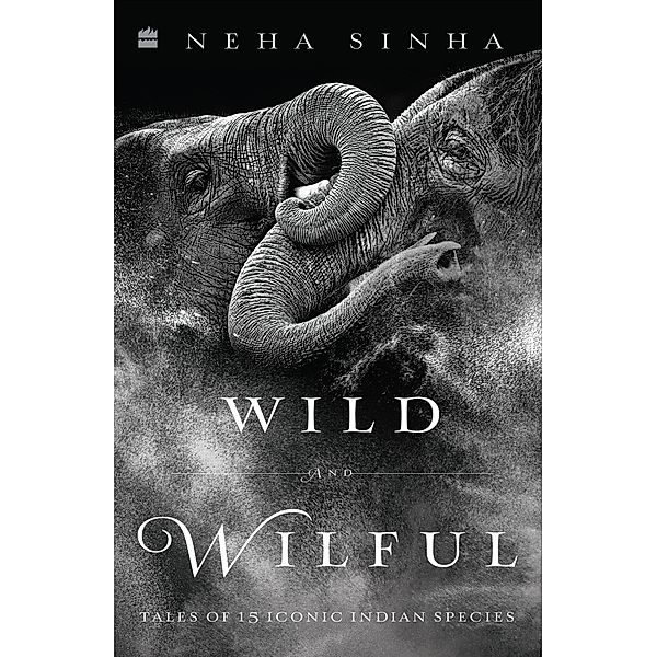 Wild And Wilful, Neha Sinha