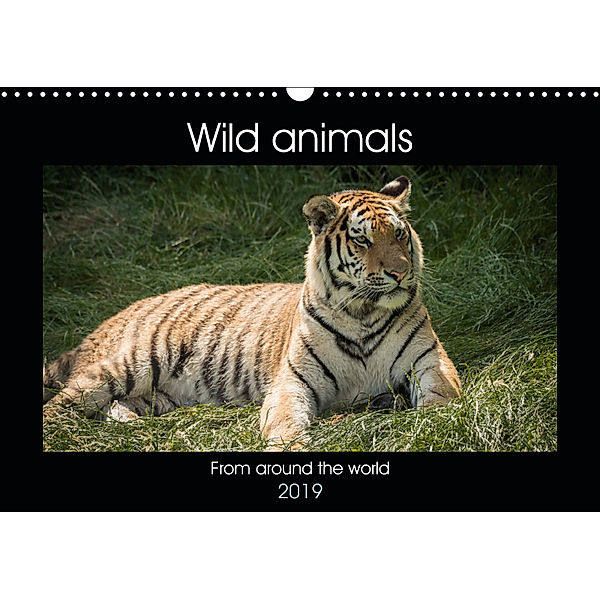 Wild animals from around the world (Wall Calendar 2019 DIN A3 Landscape), Alan Tunnicliffe