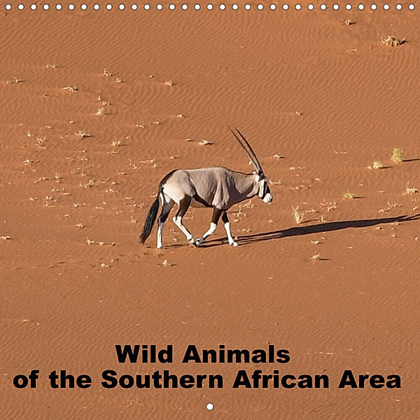 Wild Animals of the Southern Africa Area (Wall Calendar 2023 300 × 300 mm Square), T. L. Treadway