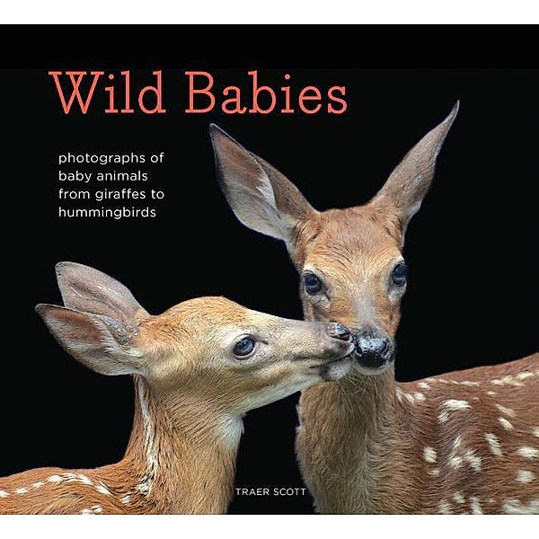 Wild Babies: Photographs of Baby Animals from Giraffes to Hummingbirds, Traer Scott