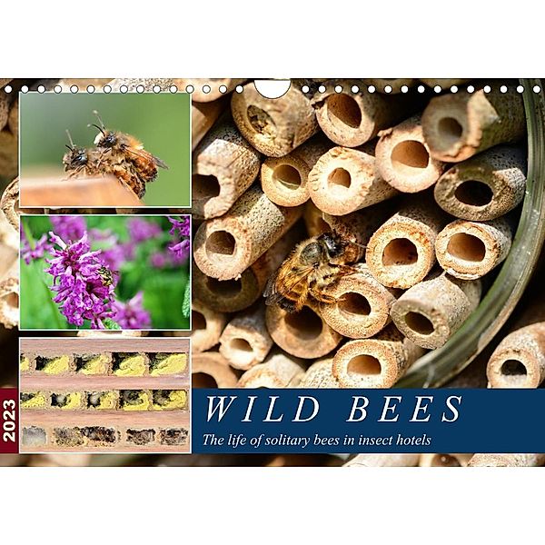 Wild bees -  The life of solitary bees in insect hotels (Wall Calendar 2023 DIN A4 Landscape), Anja Frost