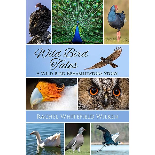 Wild Bird Tales, Rachel Whitefield Wilken