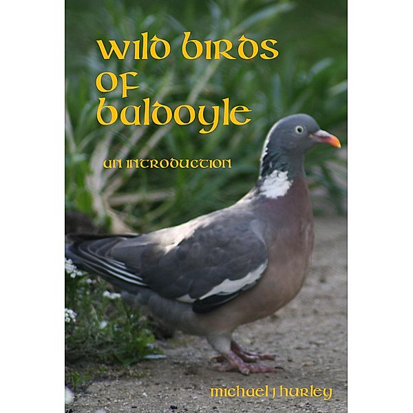 Wild Birds of Baldoyle - An Introduction, Michael J. Hurley