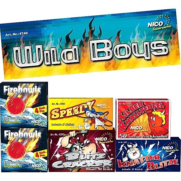 Wild Boys, 6 Schachteln sortiert, Klasse 1