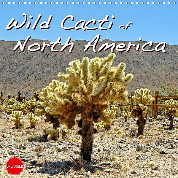 Wild Cacti of North America (Wall Calendar 2023 300 × 300 mm Square), Jana Thiem-Eberitsch