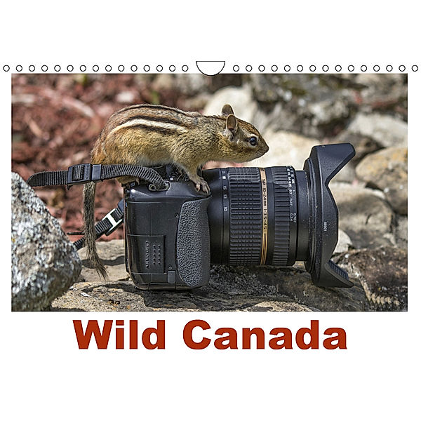 Wild Canada (Wall Calendar 2019 DIN A4 Landscape), Atlantismedia