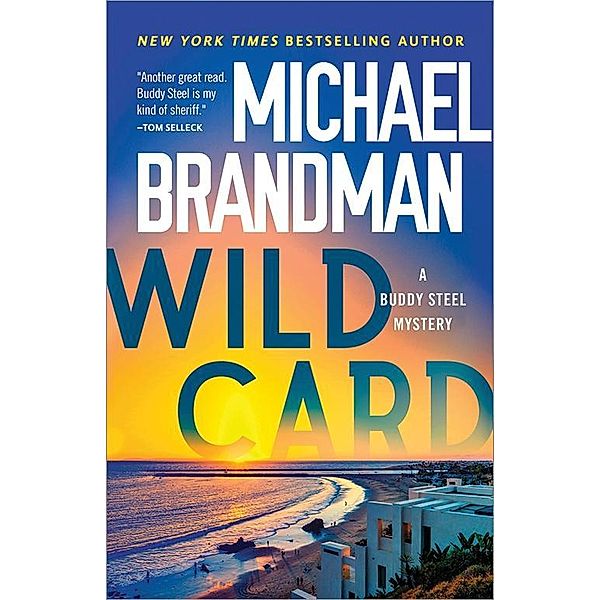 Wild Card / Buddy Steel Thrillers Bd.3, Michael Brandman