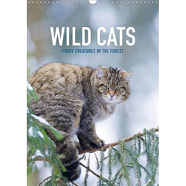 WILD CATS - FURRY CREATURES OF THE FOREST (Wall Calendar 2021 DIN A3 Portrait), Christina Krutz
