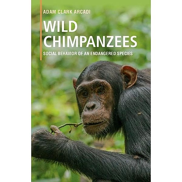 Wild Chimpanzees, Adam Clark Arcadi