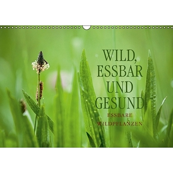 WILD, ESSBAR UND GESUND Essbare Wildpflanzen (Wandkalender 2016 DIN A3 quer), Markus Wuchenauer pixelrohkost.de