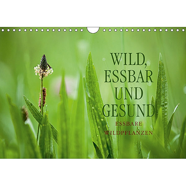 WILD, ESSBAR UND GESUND Essbare Wildpflanzen (Wandkalender 2019 DIN A4 quer), Markus Wuchenauer pixelrohkost.de