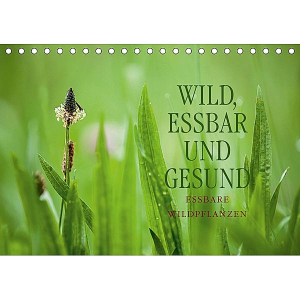 WILD, ESSBAR UND GESUND Essbare Wildpflanzen (Tischkalender 2021 DIN A5 quer), Markus Wuchenauer pixelrohkost.de