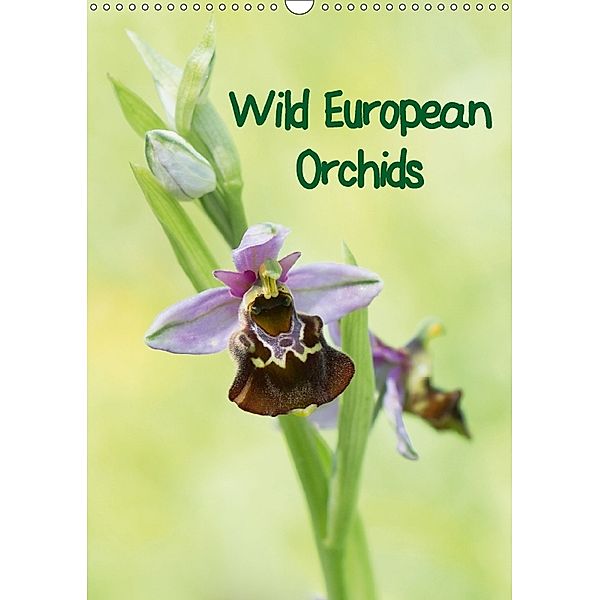 Wild European Orchids (Wall Calendar 2018 DIN A3 Portrait), Claudia Pelzer