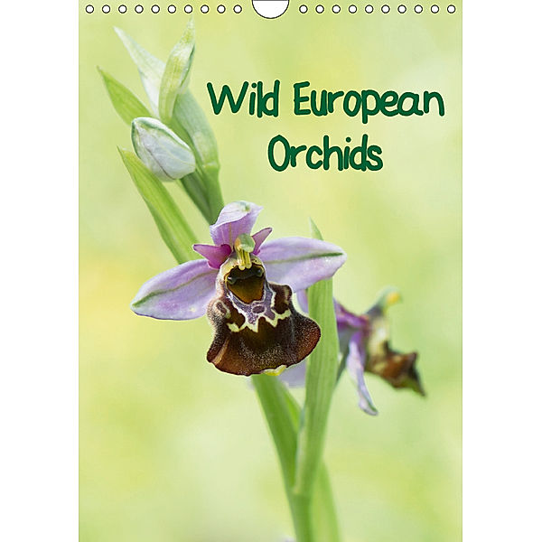 Wild European Orchids (Wall Calendar 2019 DIN A4 Portrait), Claudia Pelzer