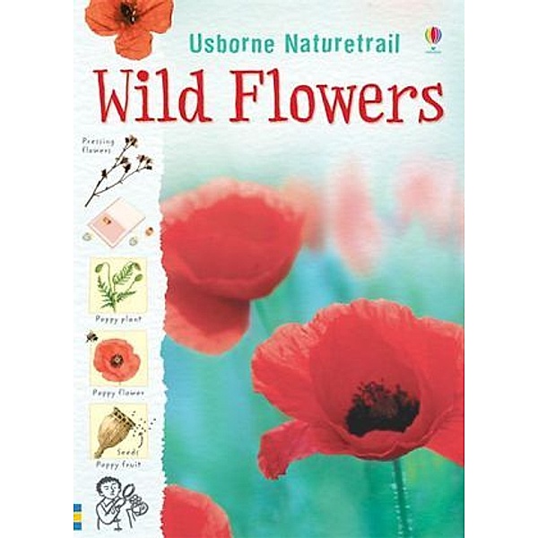Wild Flowers, Sarah Khan, Kirsteen Rogers