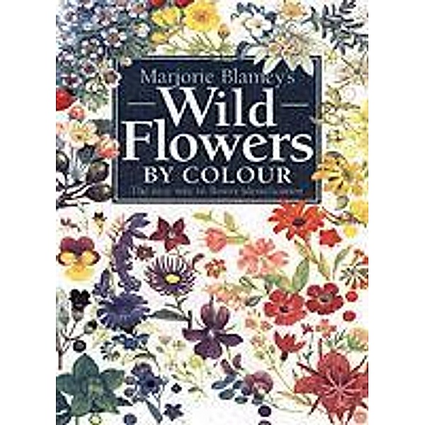 Wild Flowers by Colour, Marjorie Blamey