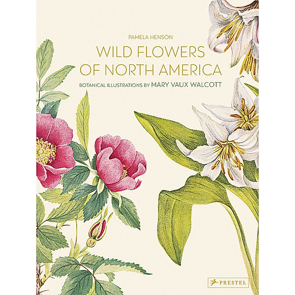Wild Flowers of North America, Pamela Henson