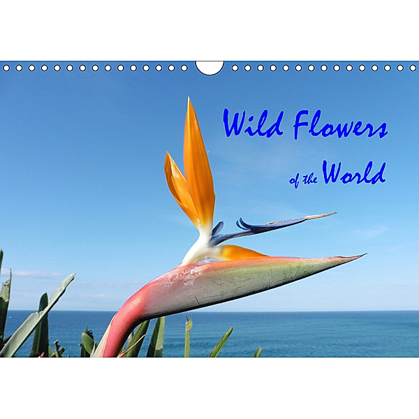 Wild Flowers of the World (Wall Calendar 2019 DIN A4 Landscape), Howard Beck