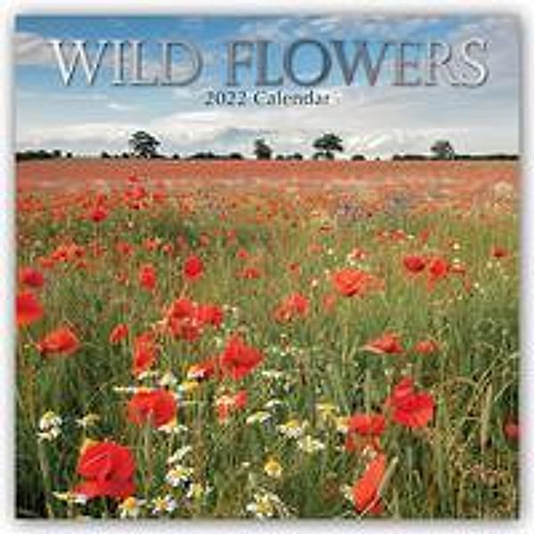 Wild Flowers - Wildblumen 2022 - 16-Monatskalender, Gifted Stationery Co. Ltd