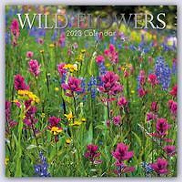 Wild Flowers - Wildblumen 2023 - 16-Monatskalender, Gifted Stationery Co. Ltd