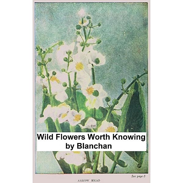 Wild Flowers Worth Knowing, Neltje Blanchan