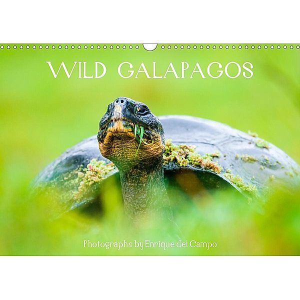 WILD GALAPAGOS (Wall Calendar 2021 DIN A3 Landscape), Enrique del Campo