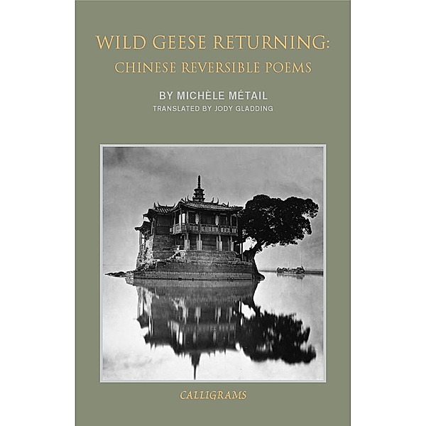 Wild Geese Returning, Michele Metail