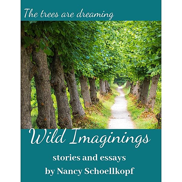 Wild Imaginings - Flash Fiction and Essays, Nancy Schoellkopf