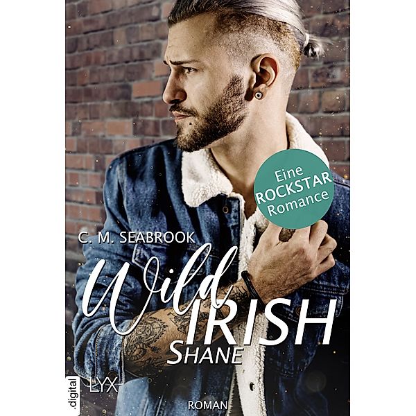 Wild Irish - Shane / Die Wild-Irish-Trilogie Bd.3, C. M. Seabrook