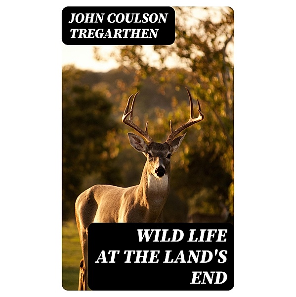 Wild Life at the Land's End, John Coulson Tregarthen