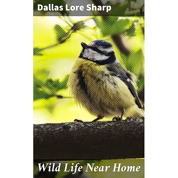 Wild Life Near Home, Dallas Lore Sharp