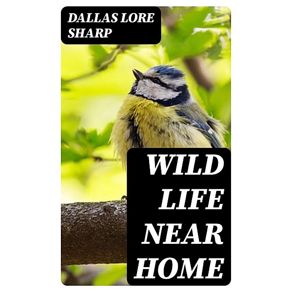 Wild Life Near Home, Dallas Lore Sharp