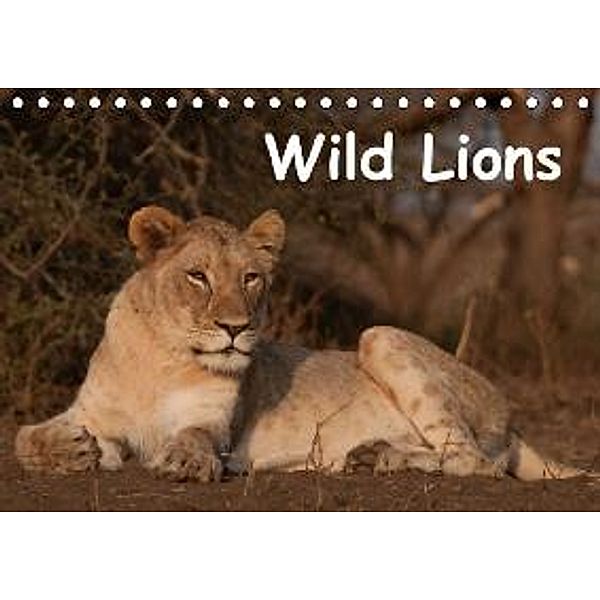 Wild Lions (Tischkalender 2015 DIN A5 quer), Britta Ohm