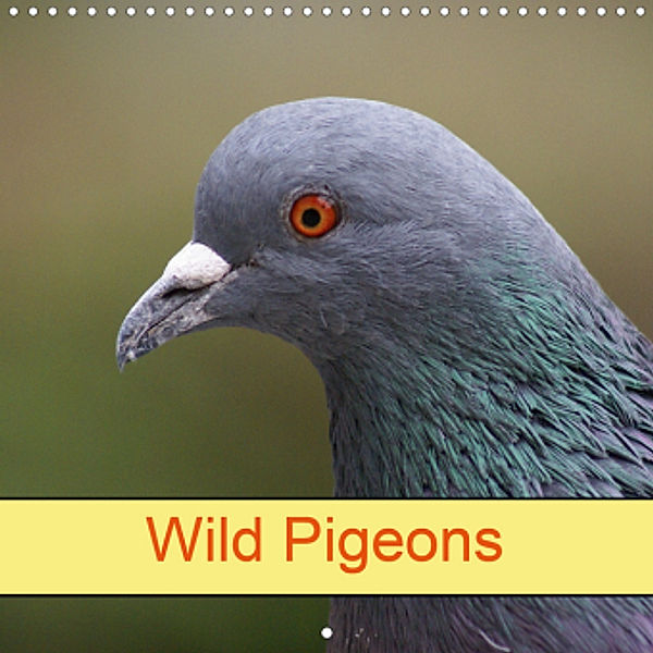 Wild Pigeons (Wall Calendar 2021 300 × 300 mm Square)