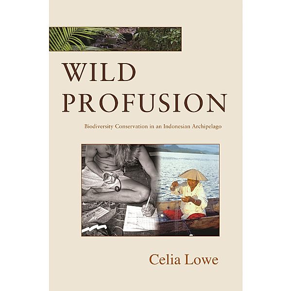 Wild Profusion / In-Formation, Celia Lowe