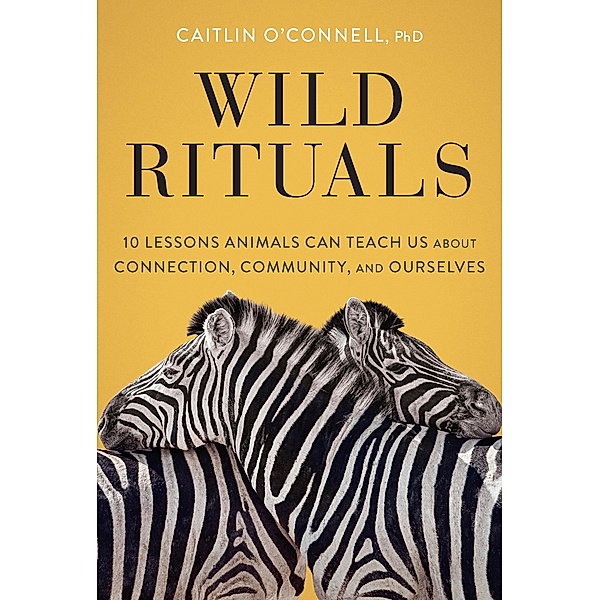 Wild Rituals, Caitlin O'Connell