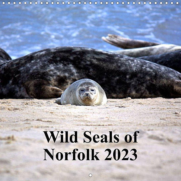 Wild Seals of Norfolk (Wall Calendar 2023 300 × 300 mm Square), Lucy Antony/Loose Images