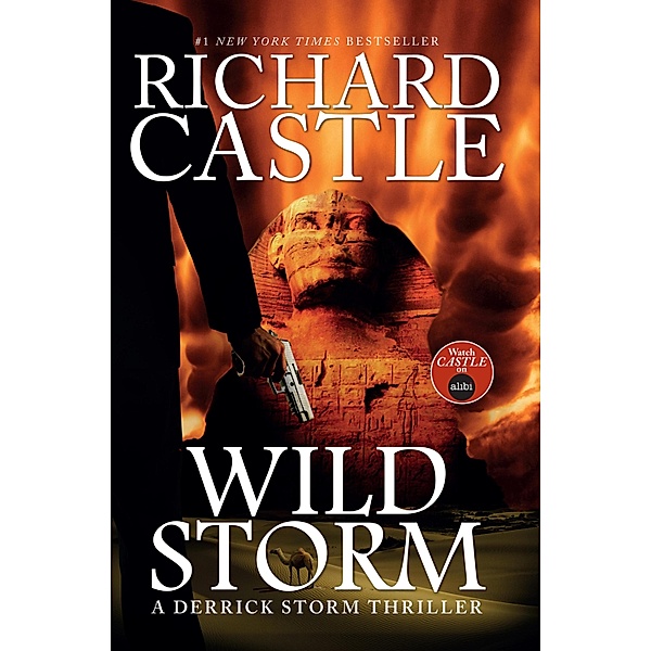 Wild Storm, Richard Castle