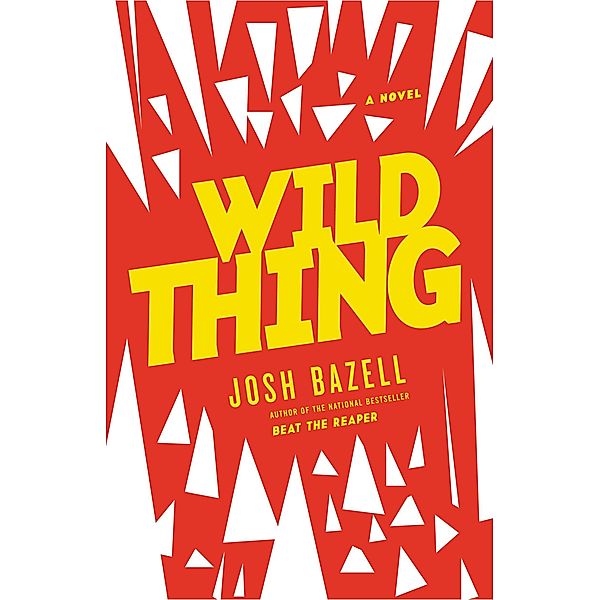 Wild Thing / Back Bay Books, Josh Bazell