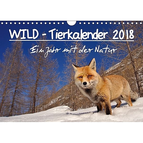 WILD - Tierkalender 2018 (Wandkalender 2018 DIN A4 quer), Marco Colombo