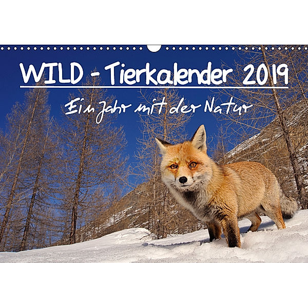 WILD - Tierkalender 2019 (Wandkalender 2019 DIN A3 quer), Marco Colombo
