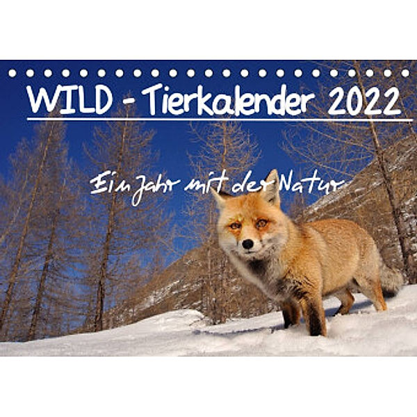 WILD - Tierkalender 2022 (Tischkalender 2022 DIN A5 quer), Marco Colombo