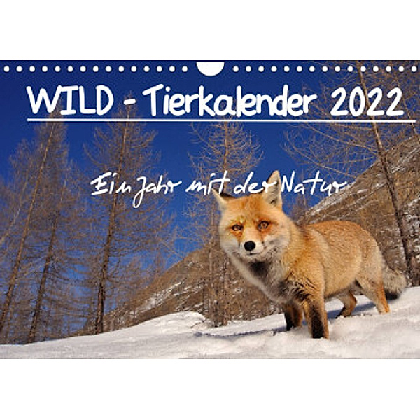 WILD - Tierkalender 2022 (Wandkalender 2022 DIN A4 quer), Marco Colombo