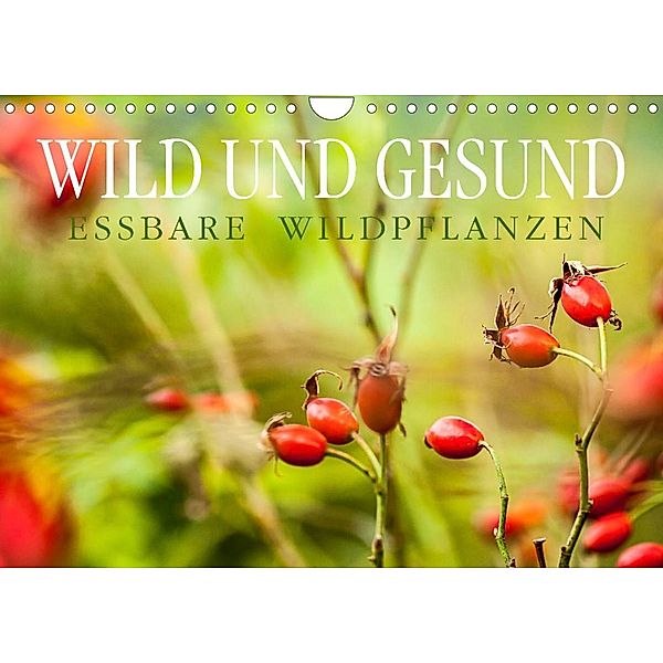 WILD UND GESUND Essbare Wildpflanzen (Wandkalender 2022 DIN A4 quer), Markus Wuchenauer - Pixelrohkost