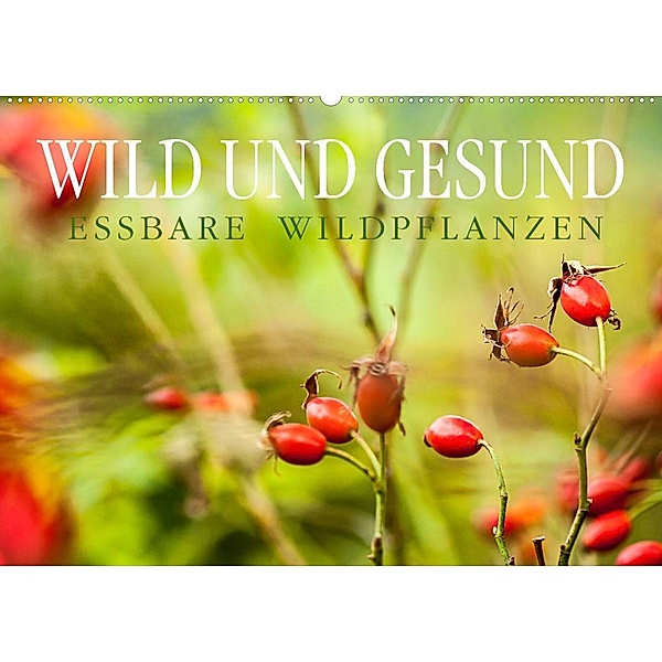 WILD UND GESUND Essbare Wildpflanzen (Wandkalender 2023 DIN A2 quer), Markus Wuchenauer - Pixelrohkost